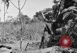 Image prisonniers japonais Buna Nouvelle Guinée, 1943, de la seconde 30 séquences d'archives historiques vidéo 65675066257
