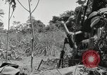 Image prisonniers japonais Buna Nouvelle Guinée, 1943, de la seconde 31 séquences d'archives historiques vidéo 65675066257