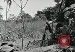 Image prisonniers japonais Buna Nouvelle Guinée, 1943, de la seconde 33 séquences d'archives historiques vidéo 65675066257
