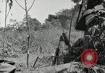 Image prisonniers japonais Buna Nouvelle Guinée, 1943, de la seconde 34 séquences d'archives historiques vidéo 65675066257