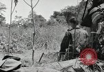 Image prisonniers japonais Buna Nouvelle Guinée, 1943, de la seconde 35 séquences d'archives historiques vidéo 65675066257