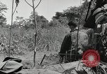 Image prisonniers japonais Buna Nouvelle Guinée, 1943, de la seconde 36 séquences d'archives historiques vidéo 65675066257