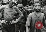 Image prisonniers japonais Buna Nouvelle Guinée, 1943, de la seconde 48 séquences d'archives historiques vidéo 65675066257