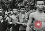 Image prisonniers japonais Buna Nouvelle Guinée, 1943, de la seconde 59 séquences d'archives historiques vidéo 65675066257