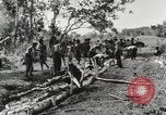 Image des soldats américains Buna Nouvelle Guinée, 1943, de la seconde 4 séquences d'archives historiques vidéo 65675066258