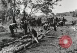 Image des soldats américains Buna Nouvelle Guinée, 1943, de la seconde 5 séquences d'archives historiques vidéo 65675066258