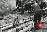 Image des soldats américains Buna Nouvelle Guinée, 1943, de la seconde 14 séquences d'archives historiques vidéo 65675066258