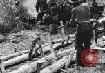 Image des soldats américains Buna Nouvelle Guinée, 1943, de la seconde 18 séquences d'archives historiques vidéo 65675066258