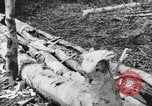 Image des soldats américains Buna Nouvelle Guinée, 1943, de la seconde 19 séquences d'archives historiques vidéo 65675066258