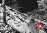 Image des soldats américains Buna Nouvelle Guinée, 1943, de la seconde 20 séquences d'archives historiques vidéo 65675066258