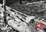 Image des soldats américains Buna Nouvelle Guinée, 1943, de la seconde 21 séquences d'archives historiques vidéo 65675066258