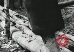 Image des soldats américains Buna Nouvelle Guinée, 1943, de la seconde 22 séquences d'archives historiques vidéo 65675066258