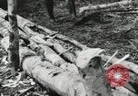 Image des soldats américains Buna Nouvelle Guinée, 1943, de la seconde 23 séquences d'archives historiques vidéo 65675066258