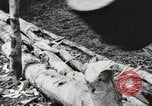 Image des soldats américains Buna Nouvelle Guinée, 1943, de la seconde 27 séquences d'archives historiques vidéo 65675066258