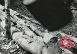 Image des soldats américains Buna Nouvelle Guinée, 1943, de la seconde 29 séquences d'archives historiques vidéo 65675066258