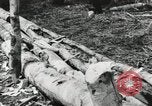 Image des soldats américains Buna Nouvelle Guinée, 1943, de la seconde 30 séquences d'archives historiques vidéo 65675066258