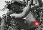 Image des soldats américains Buna Nouvelle Guinée, 1943, de la seconde 35 séquences d'archives historiques vidéo 65675066258