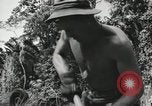 Image des soldats américains Buna Nouvelle Guinée, 1943, de la seconde 38 séquences d'archives historiques vidéo 65675066258