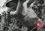 Image des soldats américains Buna Nouvelle Guinée, 1943, de la seconde 39 séquences d'archives historiques vidéo 65675066258