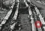 Image des soldats américains Buna Nouvelle Guinée, 1943, de la seconde 48 séquences d'archives historiques vidéo 65675066258