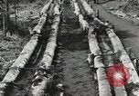 Image des soldats américains Buna Nouvelle Guinée, 1943, de la seconde 49 séquences d'archives historiques vidéo 65675066258