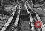 Image des soldats américains Buna Nouvelle Guinée, 1943, de la seconde 51 séquences d'archives historiques vidéo 65675066258