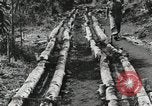 Image des soldats américains Buna Nouvelle Guinée, 1943, de la seconde 52 séquences d'archives historiques vidéo 65675066258