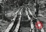 Image des soldats américains Buna Nouvelle Guinée, 1943, de la seconde 53 séquences d'archives historiques vidéo 65675066258