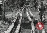 Image des soldats américains Buna Nouvelle Guinée, 1943, de la seconde 55 séquences d'archives historiques vidéo 65675066258