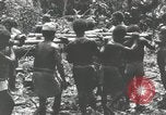 Image des soldats américains Buna Nouvelle Guinée, 1943, de la seconde 60 séquences d'archives historiques vidéo 65675066258