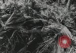 Standbild US General Robert Eichelberger Buna New Guinea, 1943, aus Sekunde 52 historischem Filmmaterial Videoclip 65675066259