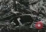Standbild US General Robert Eichelberger Buna New Guinea, 1943, aus Sekunde 53 historischem Filmmaterial Videoclip 65675066259