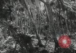 Standbild US General Robert Eichelberger Buna New Guinea, 1943, aus Sekunde 59 historischem Filmmaterial Videoclip 65675066259