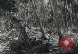 Standbild US General Robert Eichelberger Buna New Guinea, 1943, aus Sekunde 62 historischem Filmmaterial Videoclip 65675066259