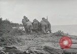 Image Bataille de Buna-Gona Buna Nouvelle Guinée, 1943, de la seconde 8 séquences d'archives historiques vidéo 65675066261