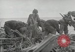 Image Bataille de Buna-Gona Buna Nouvelle Guinée, 1943, de la seconde 14 séquences d'archives historiques vidéo 65675066261