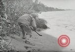 Image Bataille de Buna-Gona Buna Nouvelle Guinée, 1943, de la seconde 42 séquences d'archives historiques vidéo 65675066261