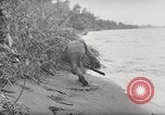 Image Bataille de Buna-Gona Buna Nouvelle Guinée, 1943, de la seconde 44 séquences d'archives historiques vidéo 65675066261