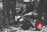 Image Bataille de Buna-Gona Buna Nouvelle Guinée, 1943, de la seconde 8 séquences d'archives historiques vidéo 65675066262