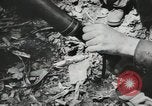 Image Bataille de Buna-Gona Buna Nouvelle Guinée, 1943, de la seconde 12 séquences d'archives historiques vidéo 65675066262