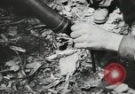 Image Bataille de Buna-Gona Buna Nouvelle Guinée, 1943, de la seconde 13 séquences d'archives historiques vidéo 65675066262