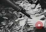 Image Bataille de Buna-Gona Buna Nouvelle Guinée, 1943, de la seconde 14 séquences d'archives historiques vidéo 65675066262