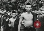 Image Bataille de Buna-Gona Buna Nouvelle Guinée, 1943, de la seconde 50 séquences d'archives historiques vidéo 65675066262