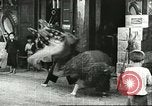 Image of poor children China, 1932, second 33 stock footage video 65675066269
