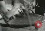 Immagine di Le miniere di sale Tze-Kung Cina, 1944, secondo 38 filmato di repertorio 65675066278
