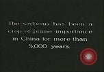 Image la culture de soja la Mandchourie Chine, 1928, de la seconde 13 séquences d'archives historiques vidéo 65675066279