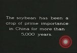 Image la culture de soja la Mandchourie Chine, 1928, de la seconde 16 séquences d'archives historiques vidéo 65675066279