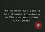 Image la culture de soja la Mandchourie Chine, 1928, de la seconde 23 séquences d'archives historiques vidéo 65675066279