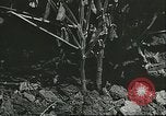 Image la culture de soja la Mandchourie Chine, 1928, de la seconde 27 séquences d'archives historiques vidéo 65675066279