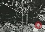 Image la culture de soja la Mandchourie Chine, 1928, de la seconde 28 séquences d'archives historiques vidéo 65675066279